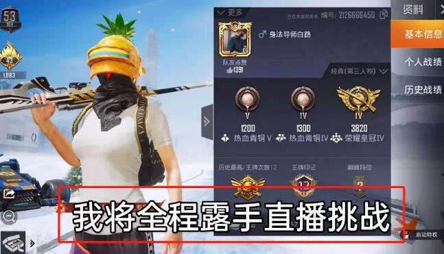 和平精英Angel天使外挂